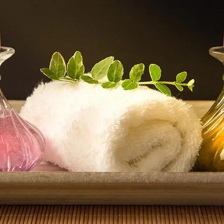De Charme Avec Jardin Et Soins Bien-etre A - Fr-1-426-469 * Sallertaine
